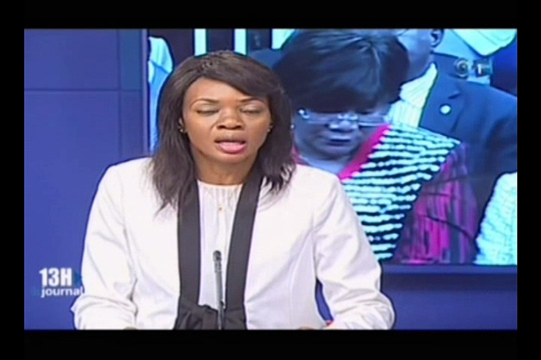 RTG / Conférence de presse du porte parole du Rassemblement pour la Démocratie et le Progrès Arsene Geoffroy Ibadia