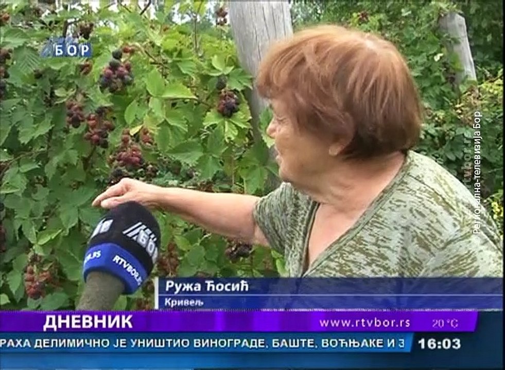 Dnevnik, 23.jul 2018. (RTV Bor)
