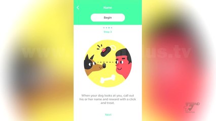 Next - App of the day - 23 Korrik 2018 - Show - Vizion Plus