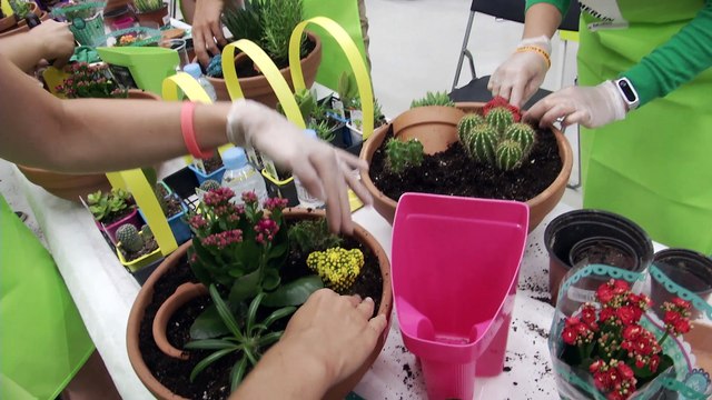 II edición de La Noche de los Talleres o cómo ser un manitas