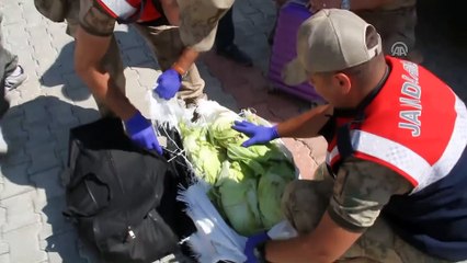 Lahanaya gizlenmiş 15 kilogram eroin bulundu - VAN