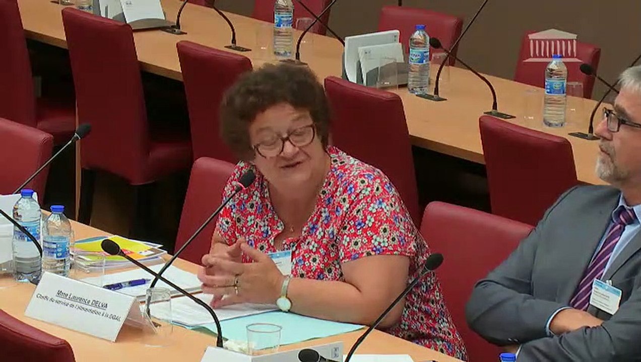 Alimentation industrielle : M. Patrick Dehaumont, DG de l'alimentation au ministère de l'agriculture et de l'alimentation - Mardi 10 juillet 2018