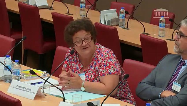 Alimentation industrielle : M. Patrick Dehaumont, DG de l'alimentation au ministère de l'agriculture et de l'alimentation - Mardi 10 juillet 2018