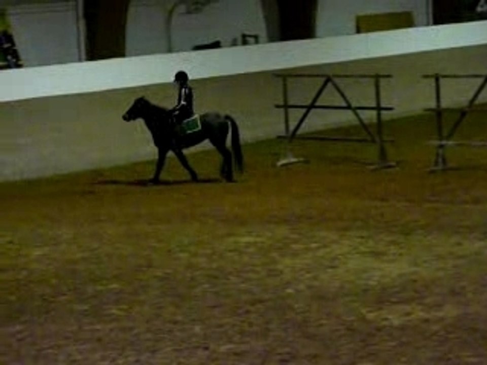 funny et moa  cours obstacle