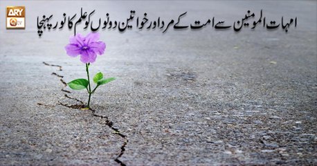 Seerat Un Nabi (S.A.W.W) - 22nd July 2018 - ARY Qtv