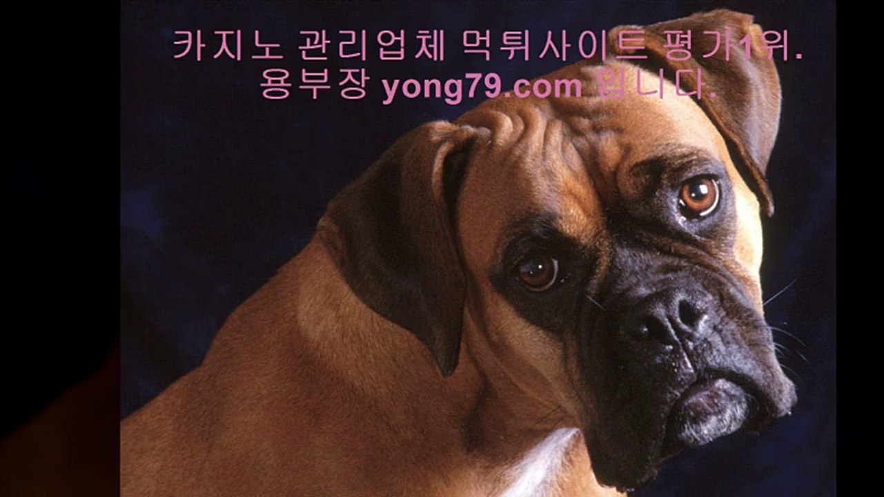 먹튀사이트 ♤【【 yong79。ＣOM 】】♤ 스포츠토토사이트