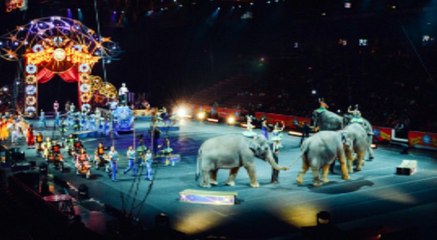 GOODLINES: July 24th 2018