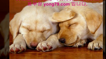 스카이카지노 ♤【【 yong79。ＣOM 】】♤ 스포츠토토사이트