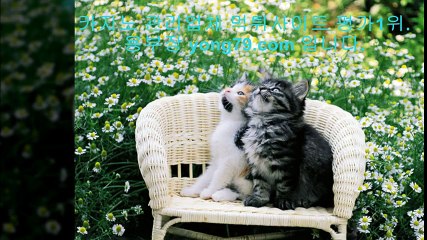 스포츠토토사이트 ♥【【 yong79。ＣOM 】】♥ 슈퍼카지노