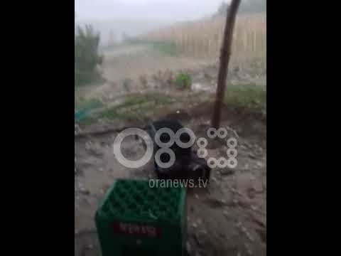 Ora News - Breshër në Elbasan, dëmtohen prodhimet bujqësore