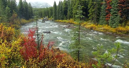 4K Screensaver: Snowy Fall River + Music | Nature Relaxation Static Video 1HR