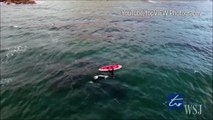 Un kayakiste joue avec une orque en pleine mer. Impressionnant