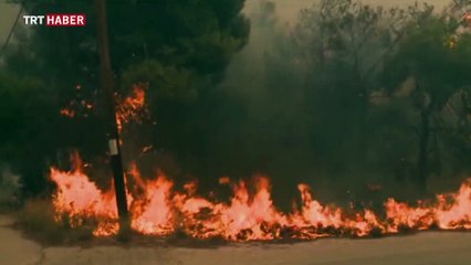 Yunanistan'ın başkenti Atina'da yangın