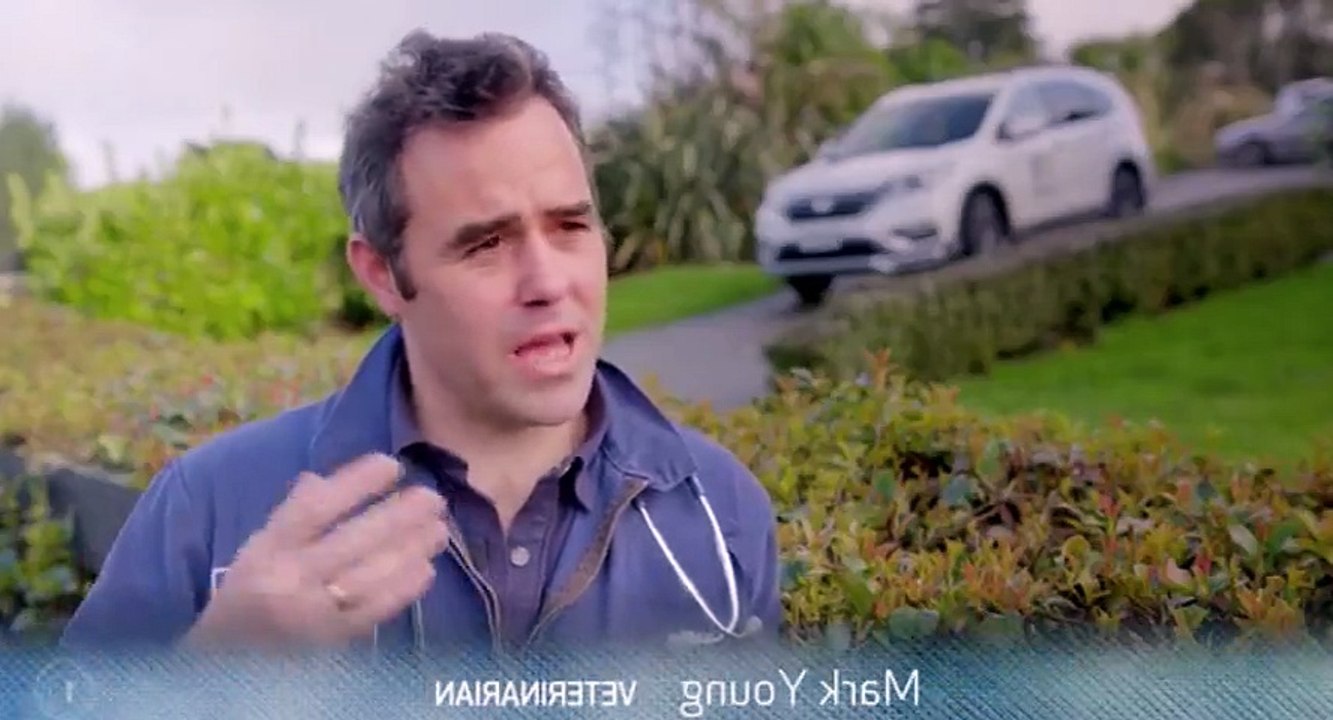 Vet Tales S01  E01 E One