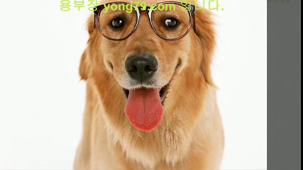 토사장 ◐【【 yong79。ＣOM 】】◐ 안전놀이터추천