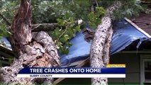 Tree Crashes into Virginia Home with Family of Seven Inside