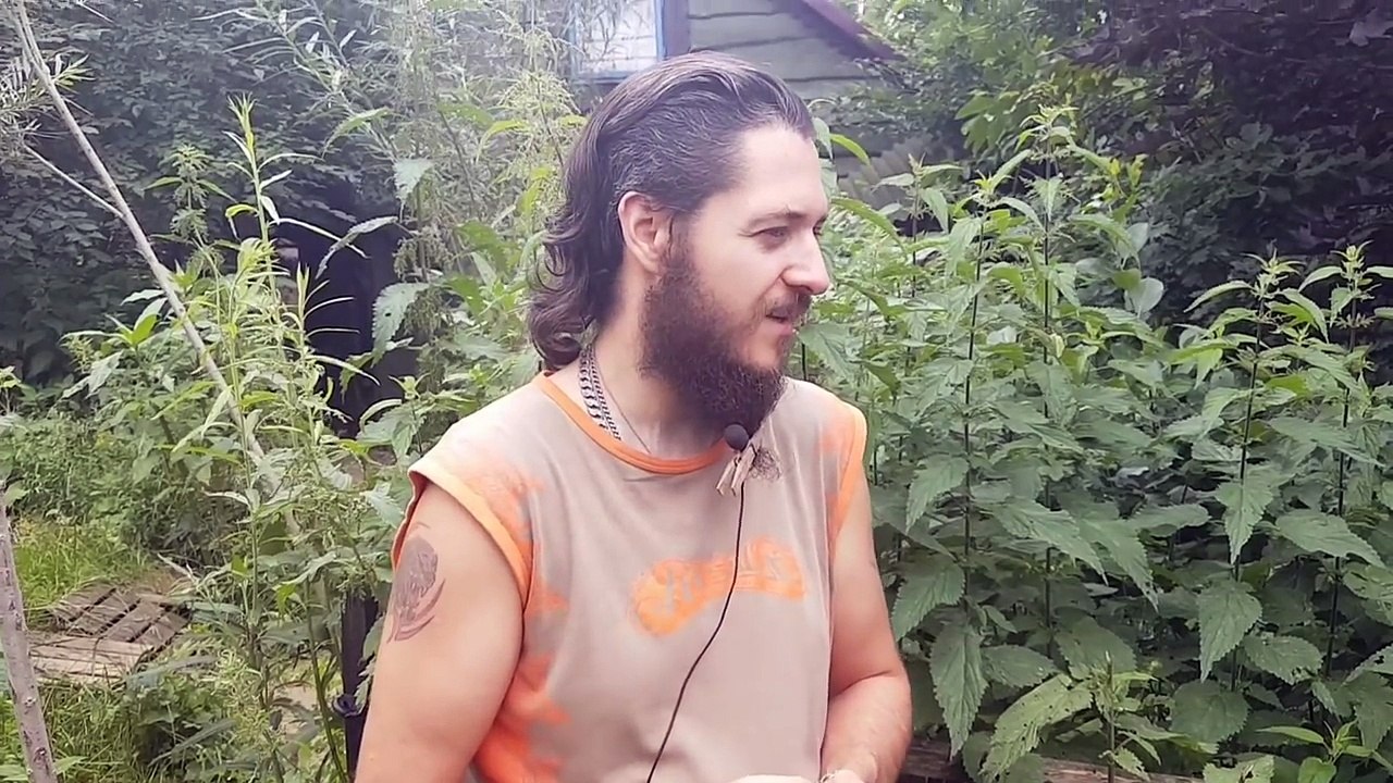 93. Nasiona Pokrzywy SuperFood%3F%3F%3F%3F