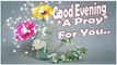 Happy Good Evening Wishes..Lovely Quotes..Whatsaap Video..Message..Status..