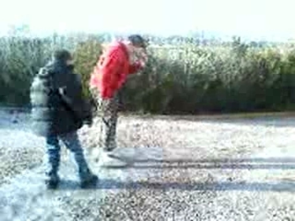 ds la cour
