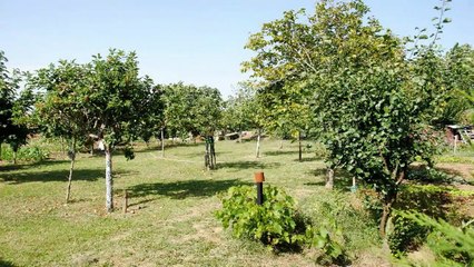 A vendre - Maison/villa - VERNET (31810) - 7 pièces - 142m²