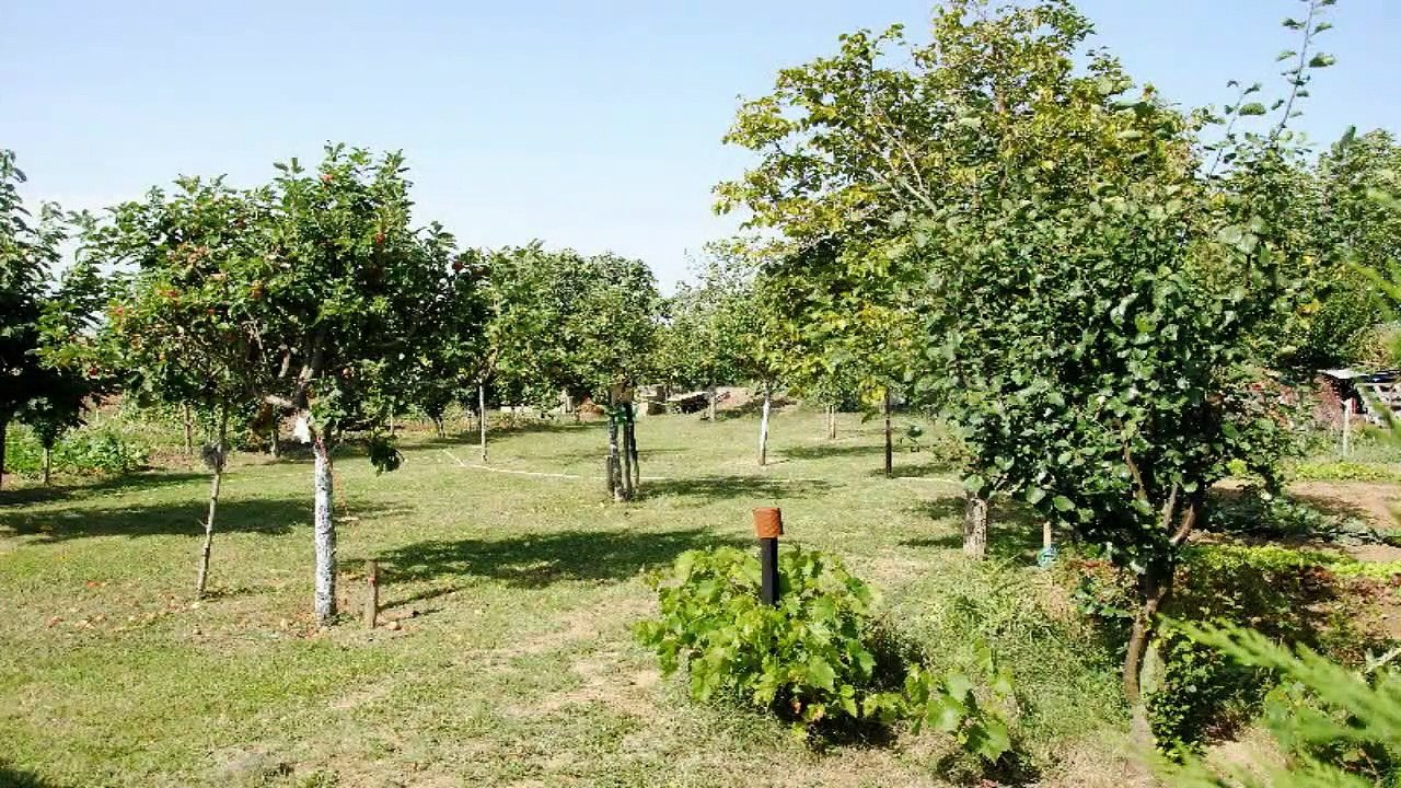 A vendre - Maison/villa - VERNET (31810) - 7 pièces - 142m²