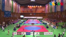 TAEKWONDO  Women's  -73kg Final - 28th Summer Universiade 2015 Gwangju (KOR)