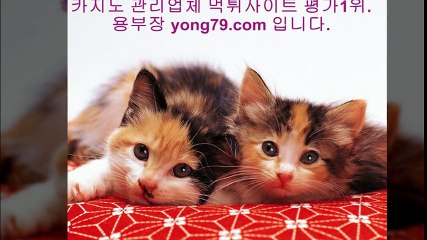 합법토토사이트 ♥【【 yong79。ＣOM 】】♥ 스카이카지노