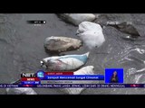 Masih Banyak Warga yang Membuang Sampah ke Sungai - NET 12