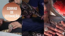 Conheça essas três pessoas que amam cobras