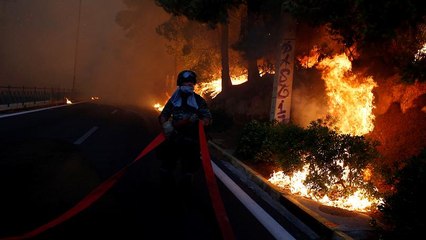Ötvenen haltak meg a görög erdőtűzben