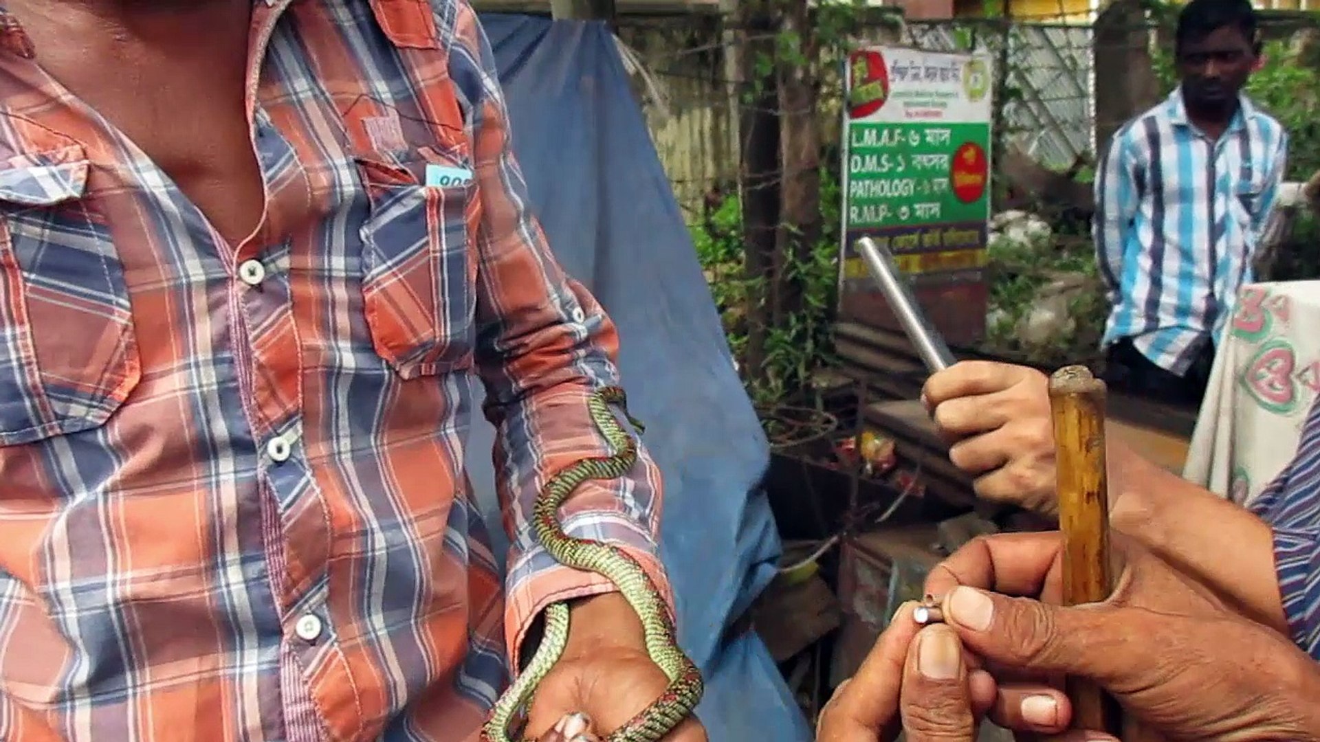 ⁣Snake In the Neck | Snake Charmer Showing Snake game