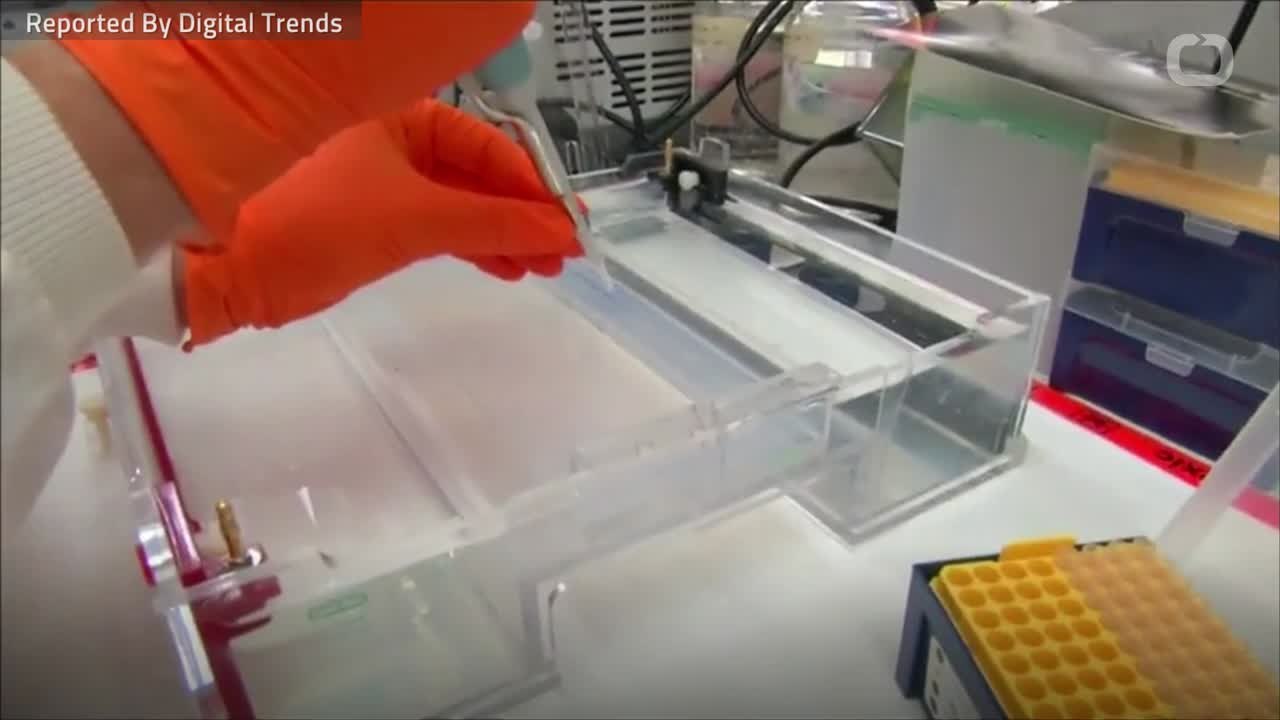 New Study Suggests CRISPR Gene Editing Might Alter DNA & Turn Cells Cancerous