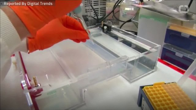 New Study Suggests CRISPR Gene Editing Might Alter DNA & Turn Cells Cancerous