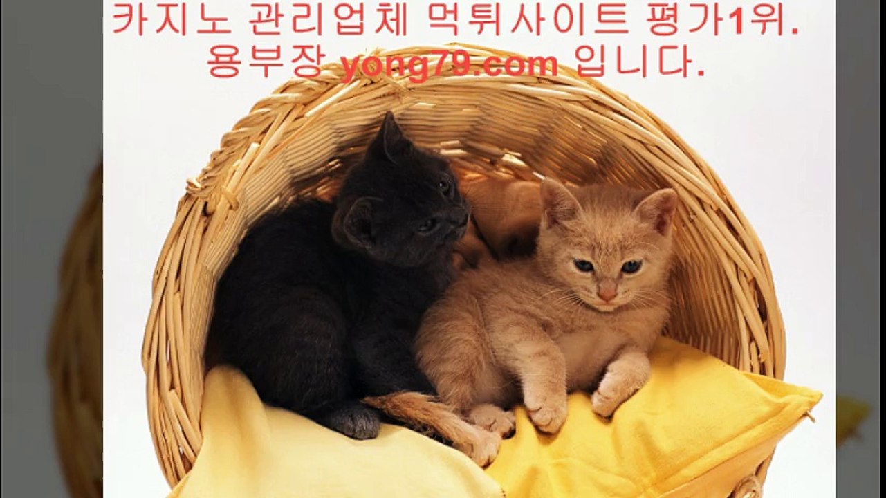 네임드사다리 ▦【【 yong79。ＣOM 】】▦ 스카이카지노