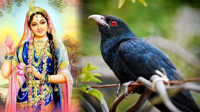 Kokila Vrat: पति की लंबी उम्र के लिए करतें हैं कोकिला व्रत, जानें क्या है महत्त्व | Boldsky