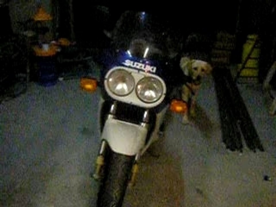 GEX87