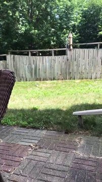 Ce petit garçon joue avec le chien du voisin