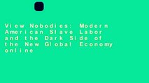 View Nobodies: Modern American Slave Labor and the Dark Side of the New Global Economy online