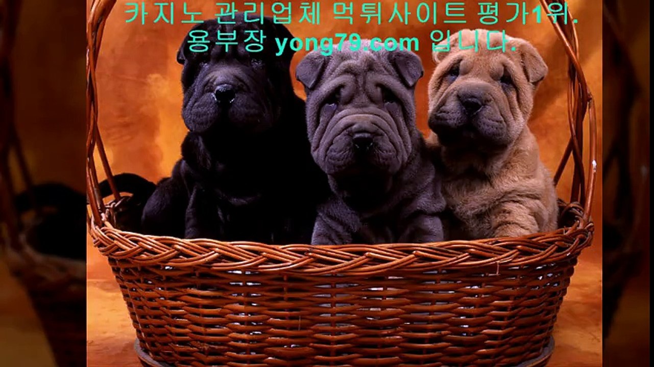 해외안전놀이터 □【【 yong79。ＣOM 】】□ 해외안전놀이터