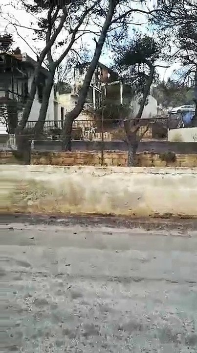 Φωτιά Μάτι: Θρήνος, στάχτη και απελπισία στο Κόκκινο Λιμανάκι