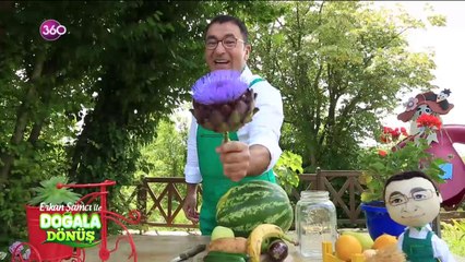 Doğala Dönüş