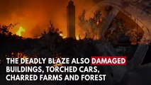 Greece Wildfire: Dozens Dead as Blaze Threatens Holiday Resorts Near Athens