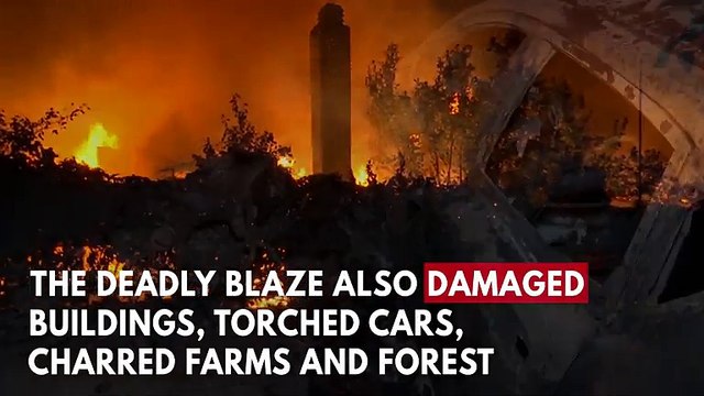 Greece Wildfire: Dozens Dead as Blaze Threatens Holiday Resorts Near Athens