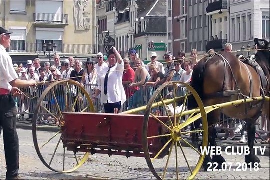 Cambrai concours femelles trait du nord 2018