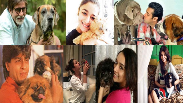 Salman Khan, Priyanka Chopra, Alia Bhatt, Anushka & other Celebs with their Adorable Pets |FilmiBeat