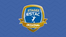 STAGE ESTAC ORIGINAL 2 - RÉSUMÉ ANIMATION