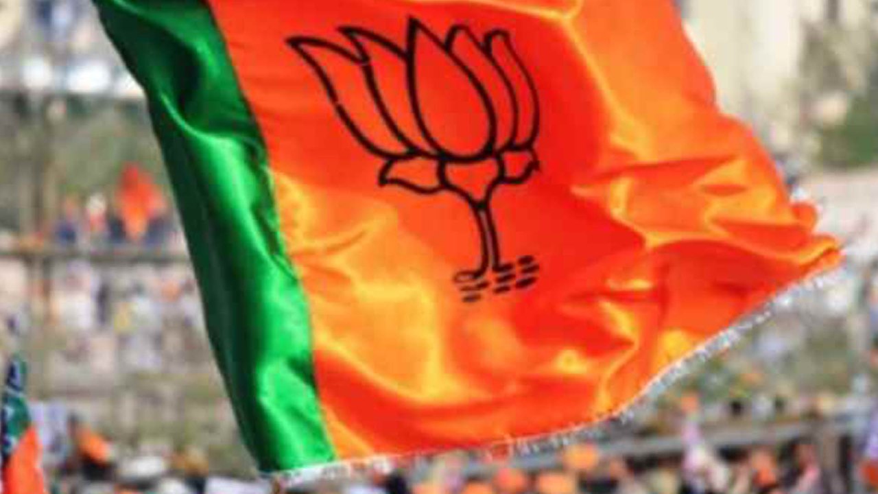 Lok Sabha Elections 2019 : ಕರ್ನಾಟಕ ಬಿಜೆಪಿಗೆ ಕಗ್ಗಂಟಾಗಿರುವ 11 ಕ್ಷೇತ್ರಗಳು  | Oneindia Kannada