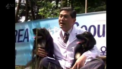 The.60000.Pound.Puppy.Cloning.Mans.Best.Friend.480p.HDTV.x264-mSD