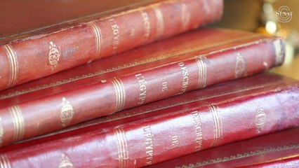 [Trésors du Sénat] Le meuble égyptien et les 23 volumes de " La Description de l'Égypte"