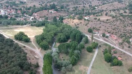 Toplu Balık Ölümleri - Kütahya